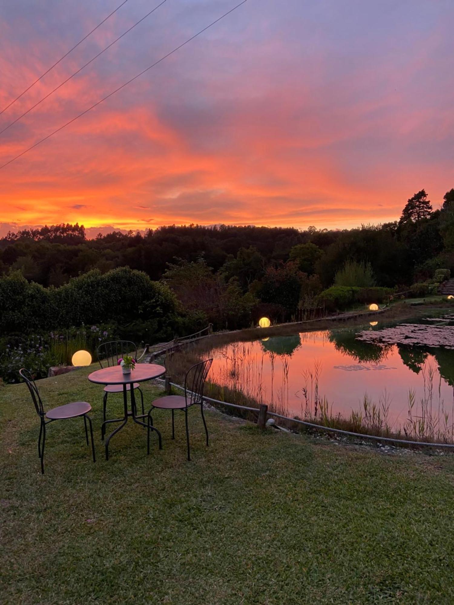 Quinta Da Fontoura Guest House Alquerubim Eksteriør bilde