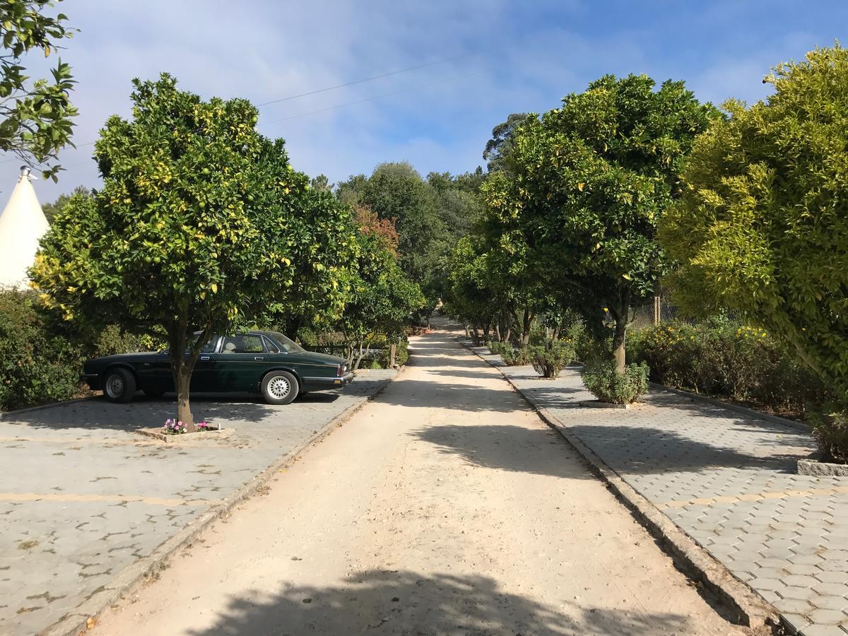 Quinta Da Fontoura Guest House Alquerubim Eksteriør bilde